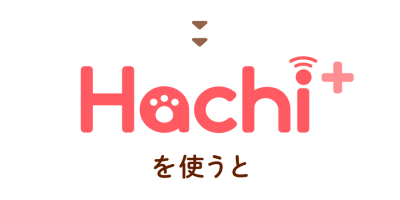 top_yajirushi_Hachi